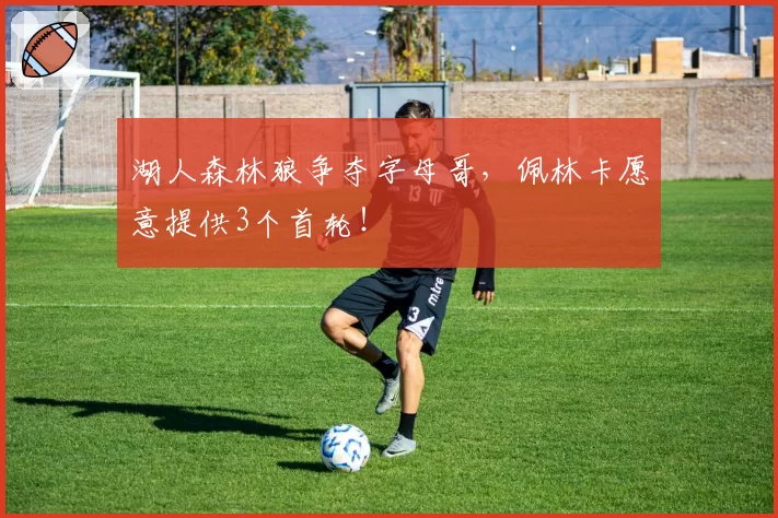 湖人森林狼争夺字母哥，佩林卡愿意提供3个首轮！