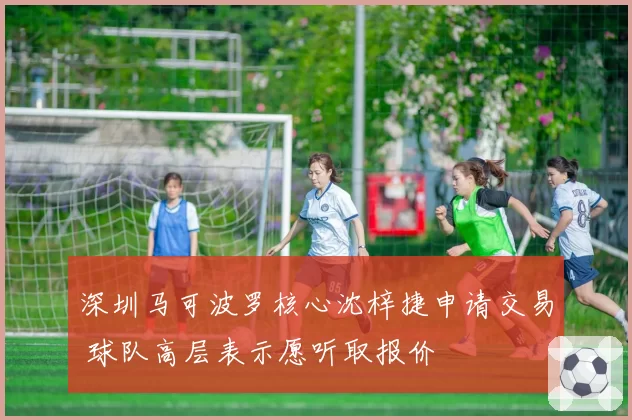 深圳马可波罗核心沈梓捷申请交易 球队高层表示愿听取报价