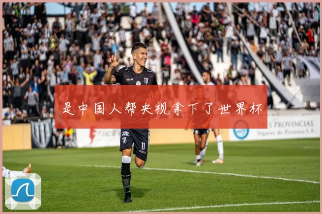 是中国人帮央视拿下了世界杯